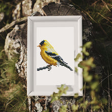 Foto laden in Gallery viewer, 12 Mini Diamond Paintings - Vogel Set