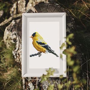 12 Mini Diamond Paintings - Vogel Set