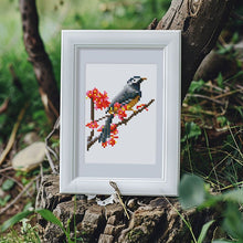 Foto laden in Gallery viewer, 12 Mini Diamond Paintings - Vogel Set