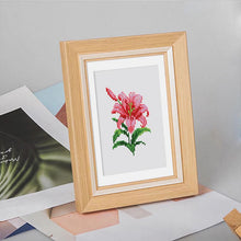 Foto laden in Gallery viewer, 12 Mini Diamond Paintings - Bloemenset 2.0