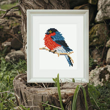 Foto laden in Gallery viewer, 12 Mini Diamond Paintings - Vogel Set