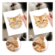 Foto laden in Gallery viewer, 4 Mini Diamond Paintings - Katten set