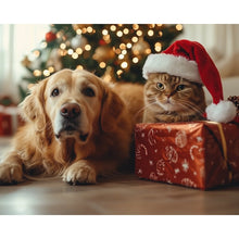 Foto laden in Gallery viewer, Kat en Hond tijdens Kerst