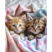 Foto laden in Gallery viewer, Kittens onder de dekens