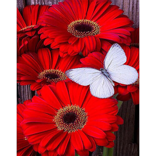 Gerbera bloemen